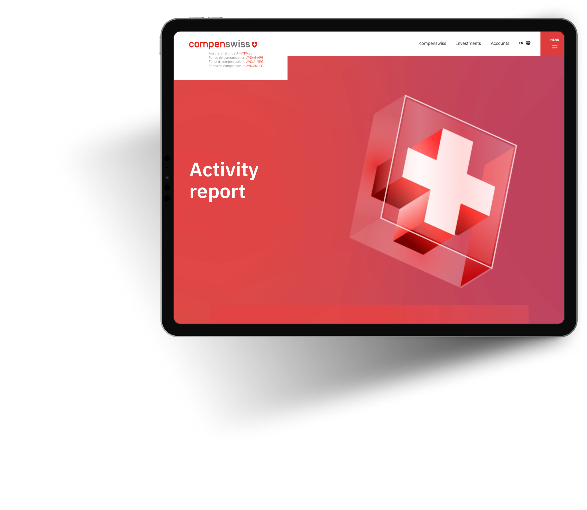 Activity Report